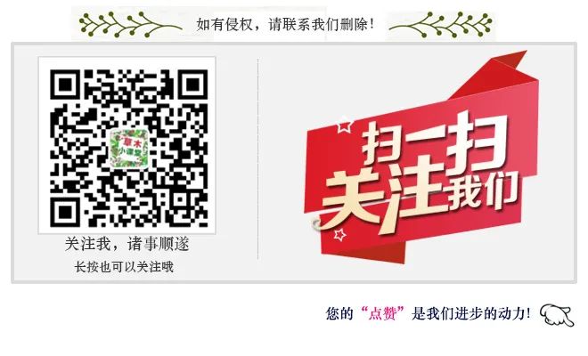 Common Medicinal and Edible Herbs in Traditional Chinese Medicine