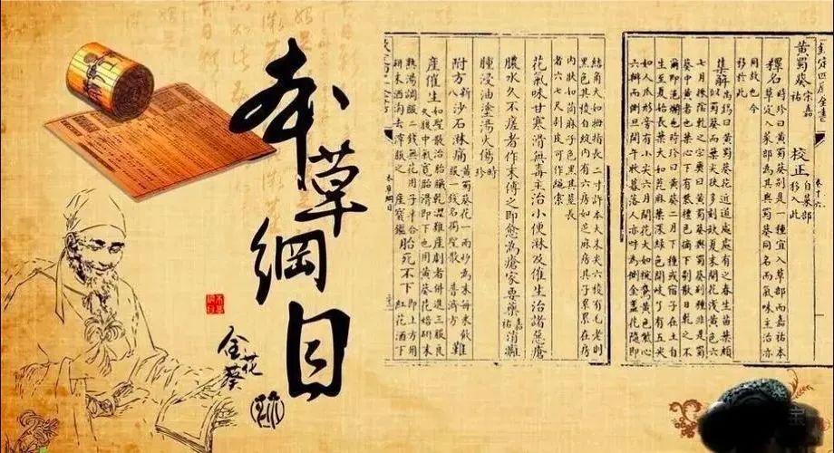 The Medicinal and Culinary Pearl: Coix Seed (Yi Yi Ren)