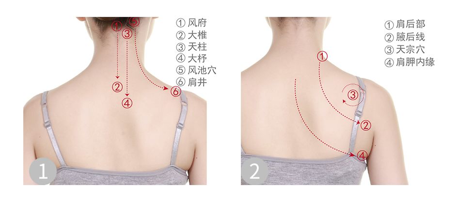 Detailed Teaching of Gua Sha! After Reading, You'll Know That Gua Sha Is Not Difficult at All!