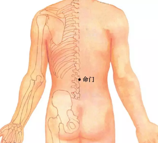 Acupuncture Points for Moxibustion That Can Address 90% of Diseases!