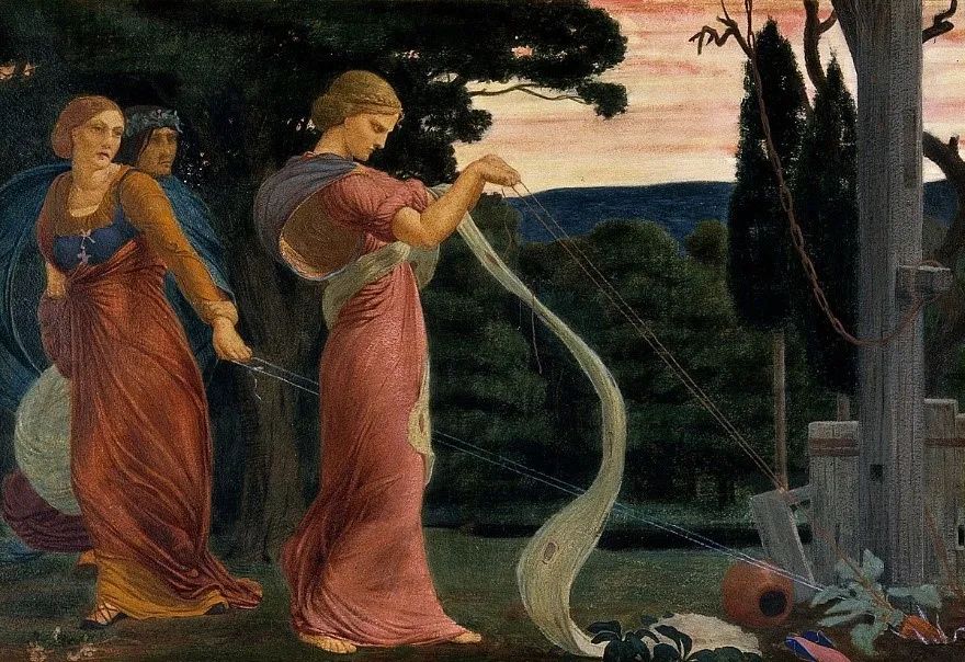 The Roots of Human-Like Plants: Not Just Ginseng, but Also the Old Poisonous Ones