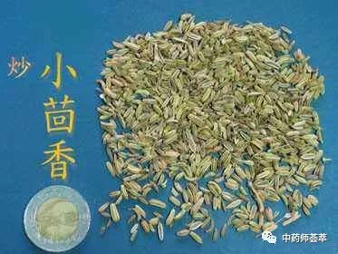 A Discussion on Warming Yang Herbs and Yang Supplementing Herbs