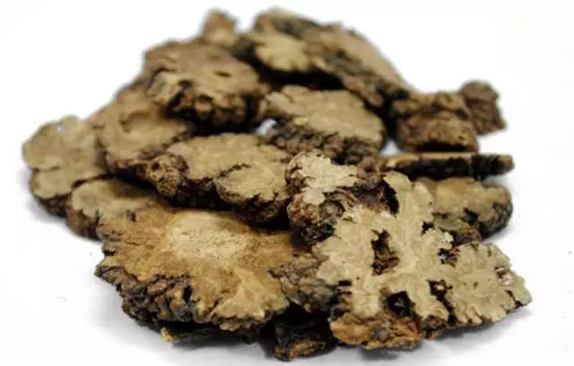 Daily Herb: Chuan Xiong (Ligusticum Chuanxiong)