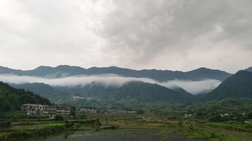 What is the Concept of 'Liu Yin' in Traditional Chinese Medicine?