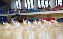 The Harmonious Integration of Yin and Yang in Tai Chi