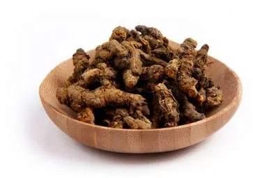 The Efficacy and Uses of Huang Lian (Coptis chinensis) and Its Dietary Contraindications