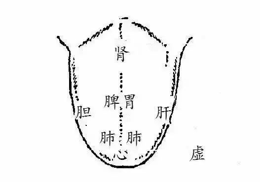 Holographic Diagnosis in Traditional Chinese Medicine: Observation, Pulse Diagnosis, and Mapping