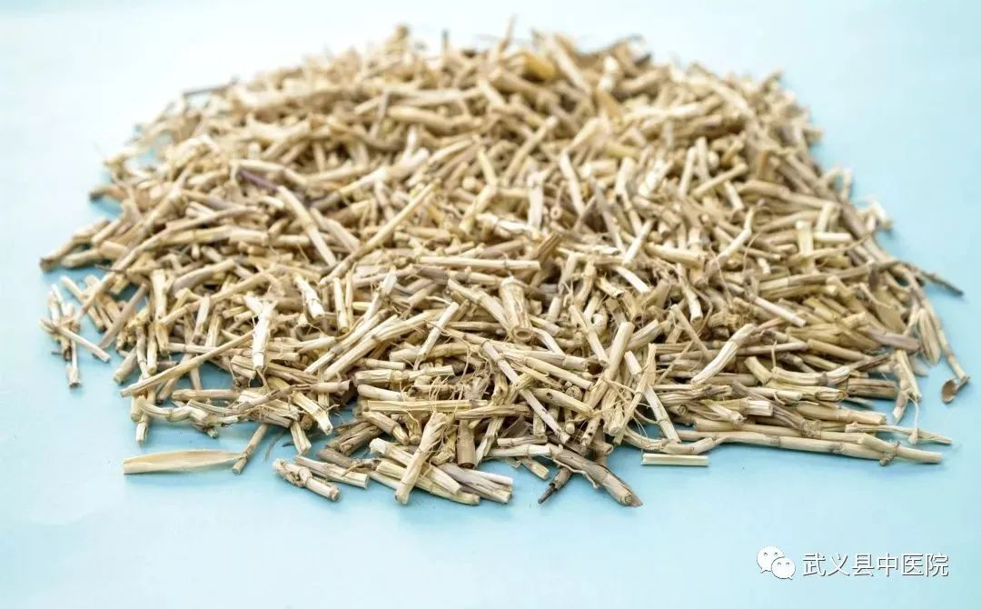 Weekly Herbal Insights: Understanding Honeysuckle in TCM