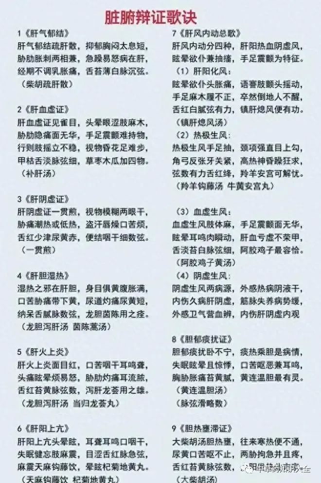 Understanding TCM Diagnosis: Eight Principles and Organ Differentiation to Enhance Your Diagnostic Skills!
