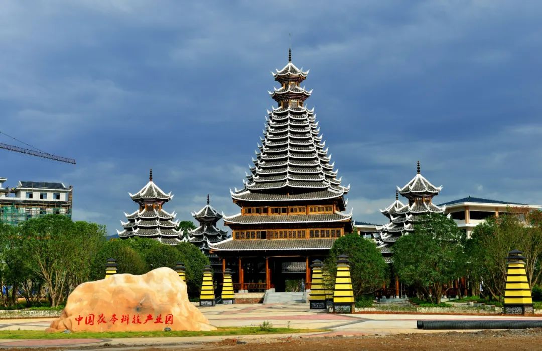 A Remarkable Remedy: Jingzhou Poria