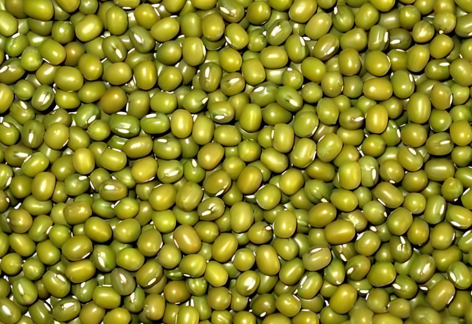 Nourishing with Grains: The Importance of Beans in Spring