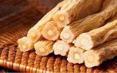 Understanding a Chinese Herb Daily: The Effects and Uses of Codonopsis (Dang Shen)! Proper Usage, Suitable Groups, and Contraindications