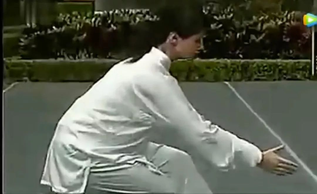Understanding the Fundamentals of Tai Chi: Are Your Basics Correct? (Comprehensive Guide)