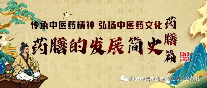 Promoting Traditional Chinese Medicine Culture through Medicinal Cuisine