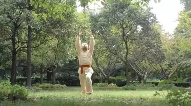 Simple and Easy to Learn! Illustrated Guide to the Twelve Movements of the Ancient Yi Jin Jing (Includes Video)