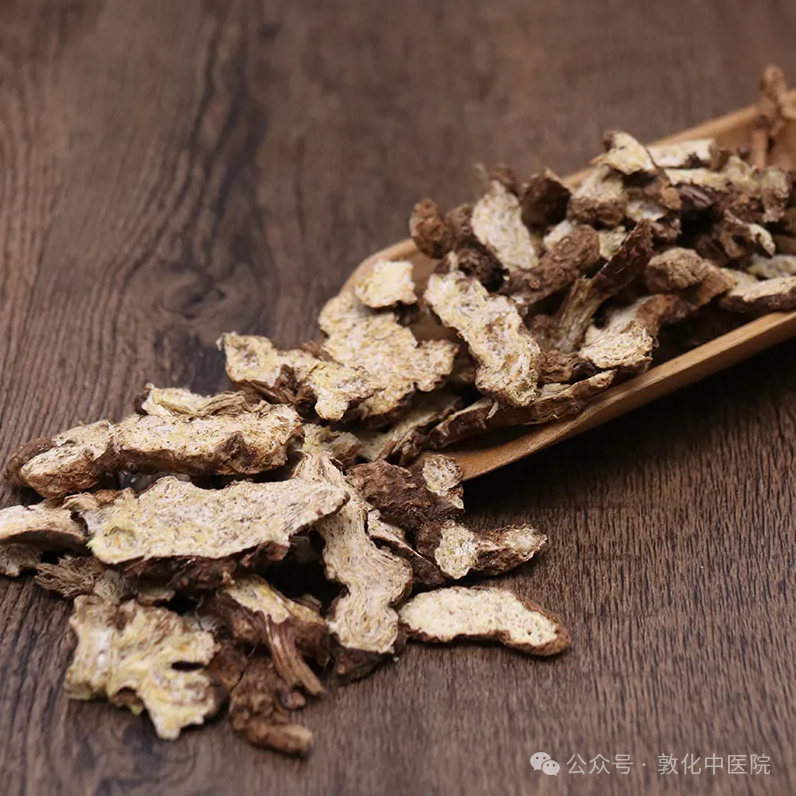 The Story of Cang Zhu (Atractylodes) in Traditional Chinese Medicine