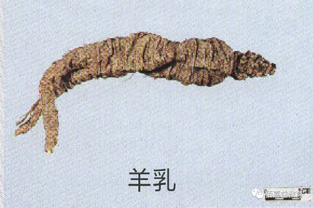 How to Distinguish Genuine from Fake Ginseng