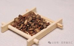 Chinese Herbs: How to Use Dan Shen for Activating Blood Circulation, Calming the Mind, and Managing Liver Cirrhosis