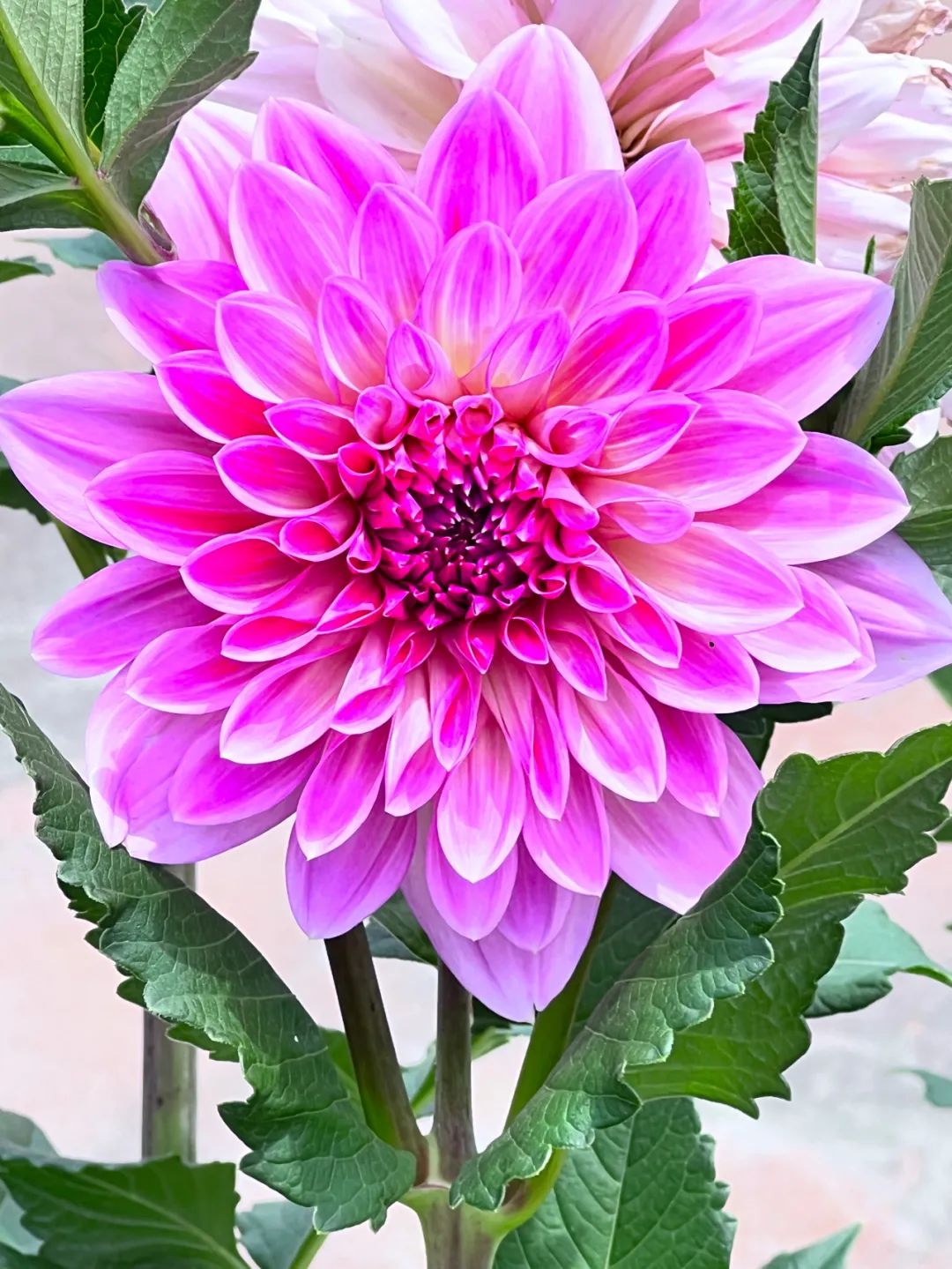 Daoyin Technique: Encountering Your Abundant Self!