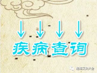 Four Major Qi-Boosting Traditional Chinese Medicine Formulas for Heart, Spleen, Lung, and Kidney Qi to Maintain Vitality All Year Round