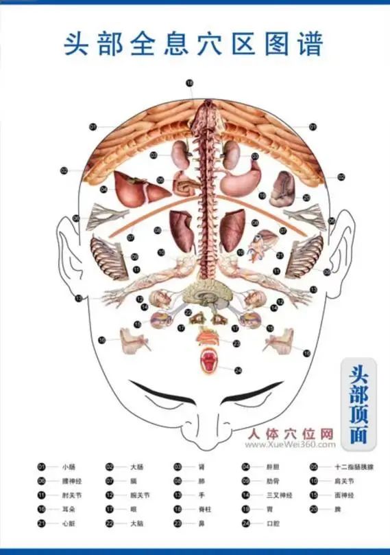Health Science Popularization | Scraping Away Headaches - Scalp Gua Sha