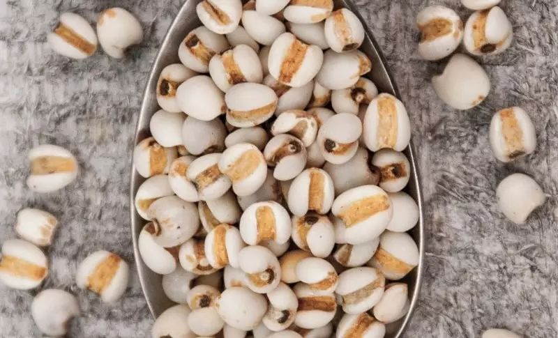 The Efficacy and Functions of Yi Yi Ren (Coix Seed): Promoting Diuresis, Resolving Dampness, Strengthening the Spleen, and Stopping Diarrhea