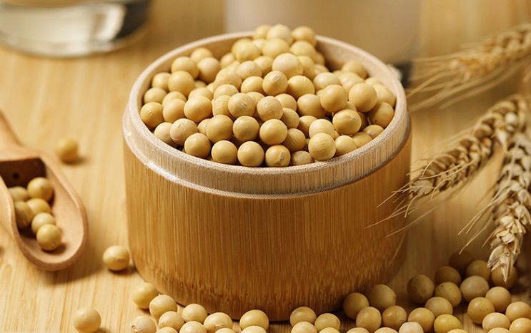 TCM Dietary Therapy: How to Nourish the Heart, Liver, Spleen, Stomach, and Lungs with Grains, Plus 8 Delicious Whole Grain Recipes