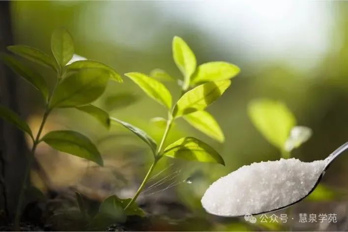 Unlocking the Secrets of Efficient Microbial Fermentation Processes in Traditional Chinese Medicine