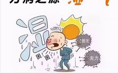 Heavy Dampness, Many Illnesses! Doctor Teaches You 6 Tips to Eliminate Dampness