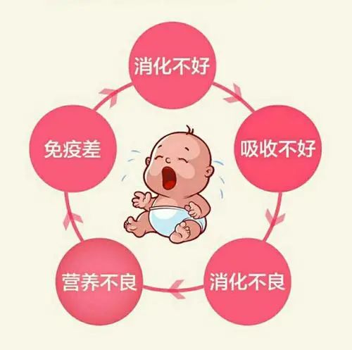Symptoms of Spleen and Stomach Yang Deficiency and Dietary Therapy in Winter
