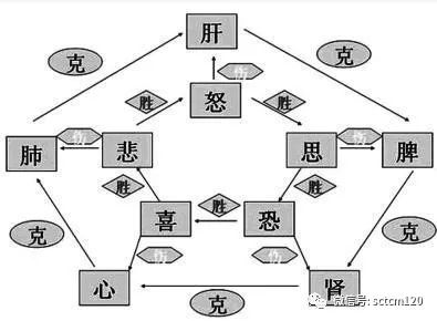 Understanding the Seven Emotions in Traditional Chinese Medicine