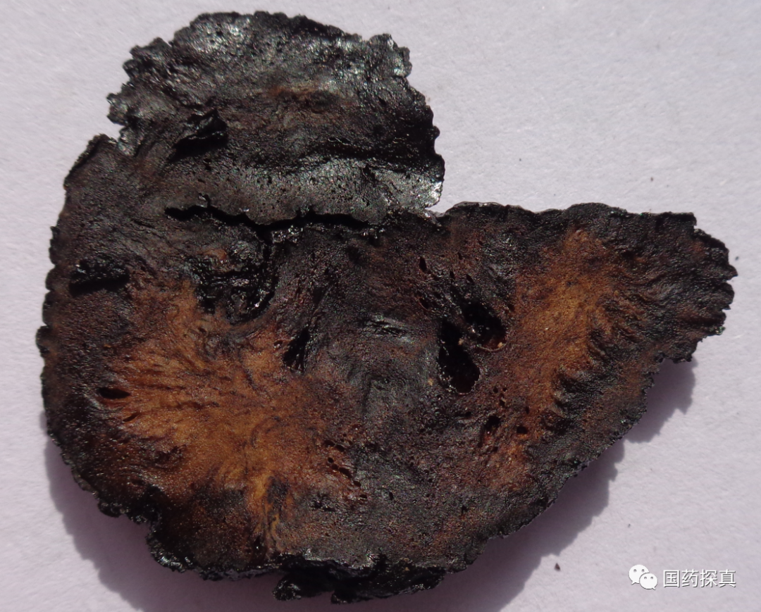 An Overview of Abnormal Phenomena in Cooked Rehmannia