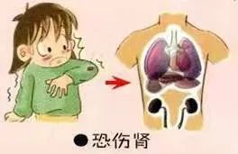 The Impact of Emotional Disturbances on Our Physical Health in Traditional Chinese Medicine