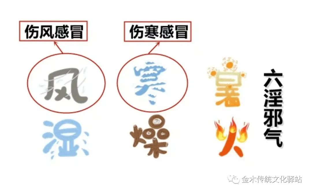 Understanding the Six Excesses, Seven Emotions, and Body Constitution in Traditional Chinese Medicine