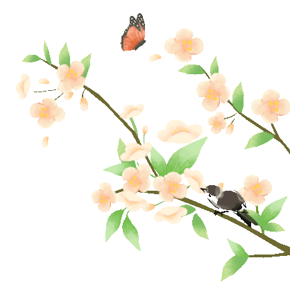 Spring Equinox: Balancing Yin and Yang for Health