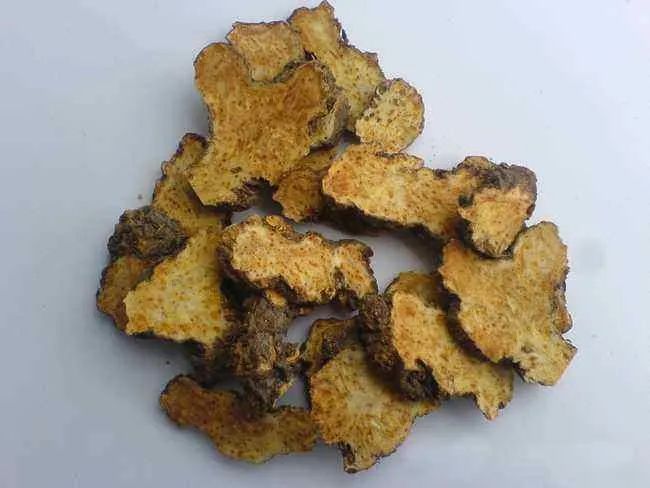 Transforming Dampness: The Role of Cang Zhu (Atractylodes lancea) in Traditional Chinese Medicine