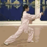 Comprehensive Guide to Tai Chi Movements: Exercise at Home!