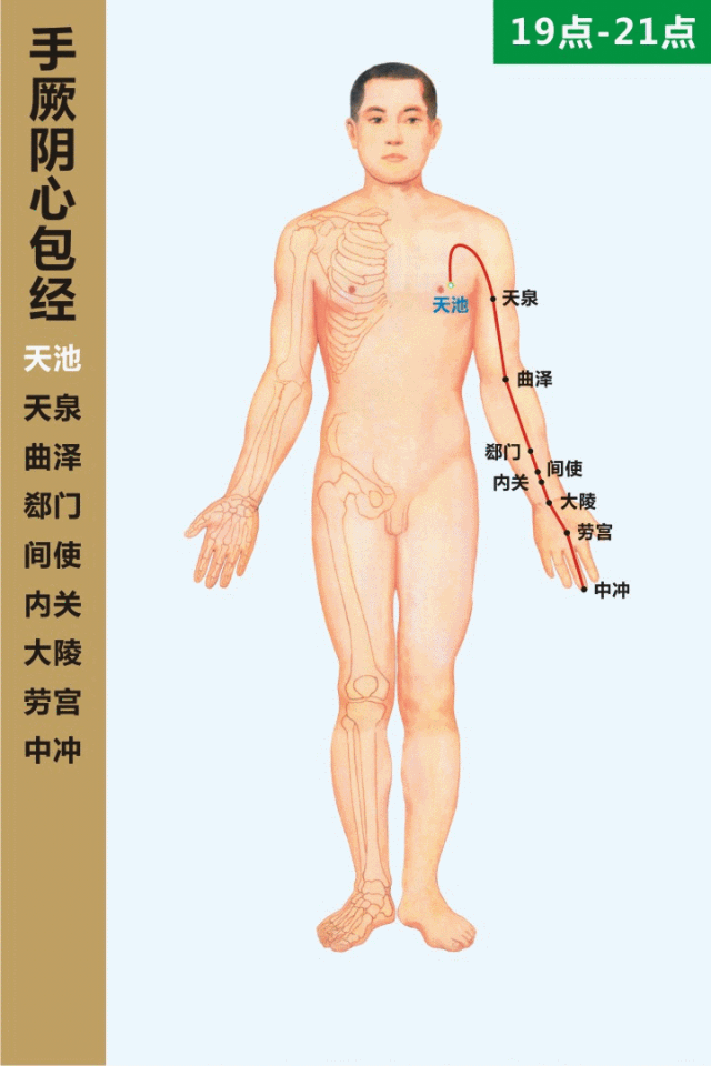 Diagram of the Twelve Meridians (Latest)