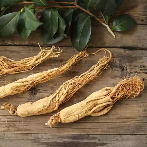 The Benefits of Drinking Ginseng Infusion and 11 Types of People Who Should Avoid It