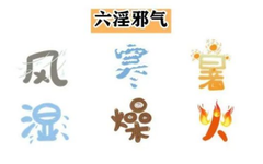 Understanding the Six External Pathogenic Factors in Traditional Chinese Medicine