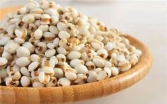 Job's Tears: A Small Grain with Significant Benefits