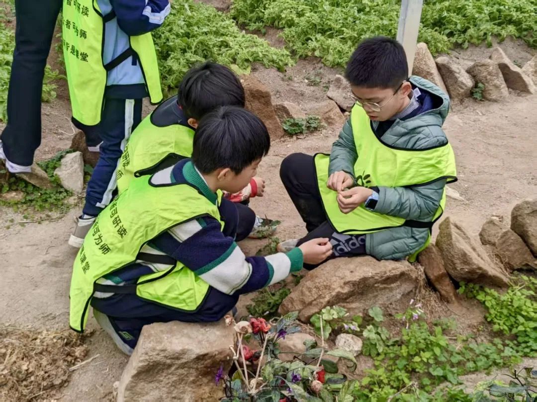 Exploring Medicinal Herbs and Agricultural Experiences: Class 2 of 2020 at Park Primary School Enjoys Springtime in the Fields