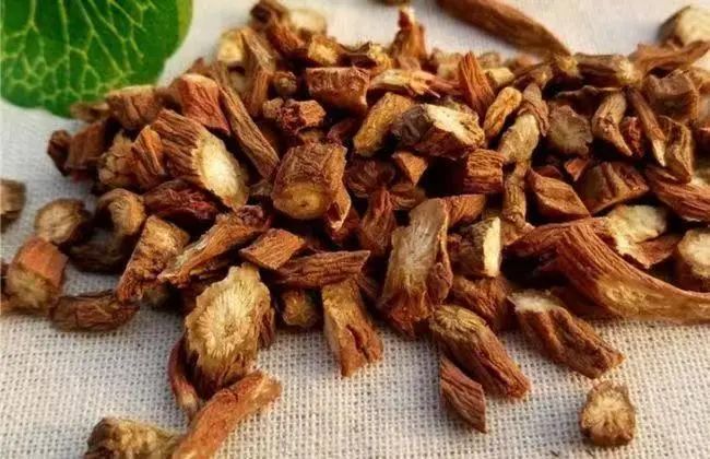 Dan Shen: A Vital Herb for Activating Blood and Resolving Stasis