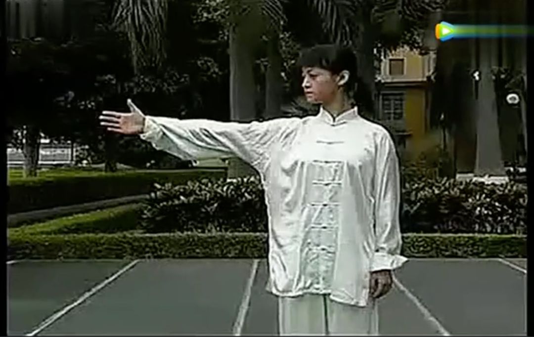 Understanding the Fundamentals of Tai Chi: Are Your Basics Correct? (Comprehensive Guide)