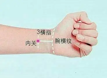47 Unique Acupuncture Points Worth Seeing! (Collector's Edition)