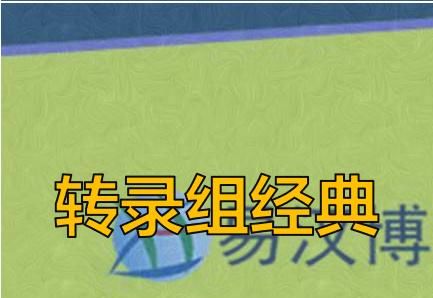 Artificial Herbal Cell: Compound Danshen Yeast 1.0