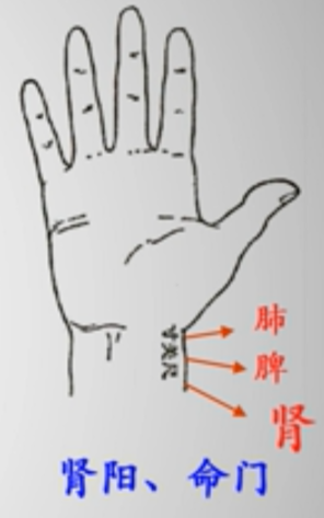 Traditional Chinese Medicine Diagnosis - Pulse Diagnosis