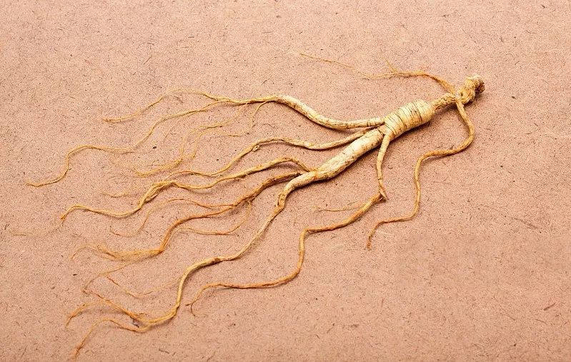Understanding a Chinese Herb Each Week: Ginseng