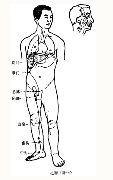 Illustration of the Twelve Meridians