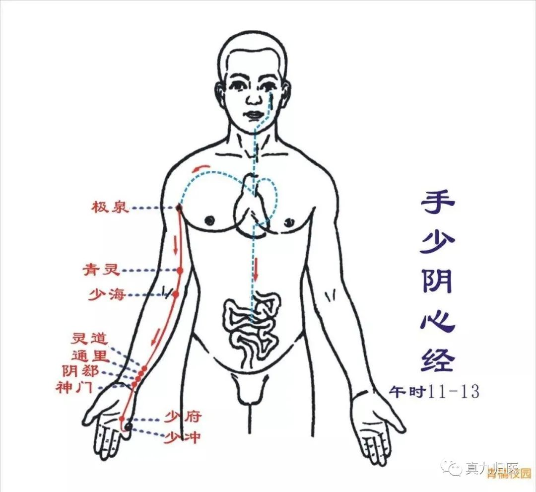 The Pathways and Interior-Exterior Relationships of the Twelve Meridians